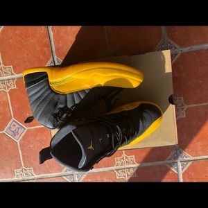Air Jordan retro 12